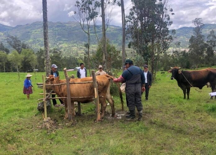 Propuesta busca impulsar el desarrollo de tecnologías que permitan mejorar la calidad en carne y leche de ganado.