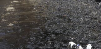 derrame de petróleo en ventanilla