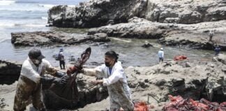 derrame de petróleo en ventanilla