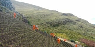 remediación minera Perú