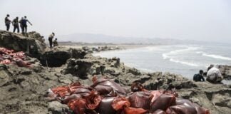 derrame de petróleo repsol