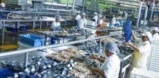 sector manofactura del Perú