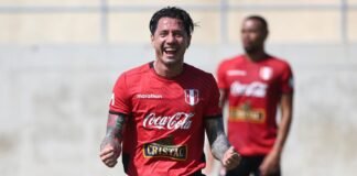 Gianluca Lapadulla wallpaper