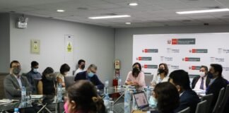 Ministra Dina Boluarte