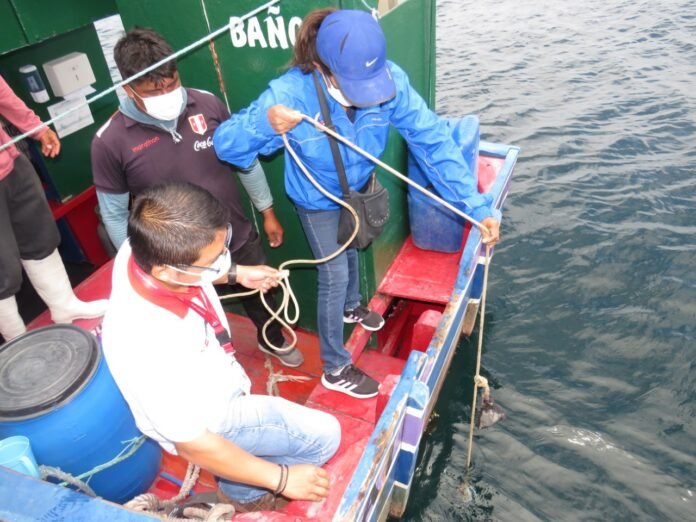 CITEpesquero Piura (3)