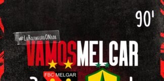 Melgar sudamericana