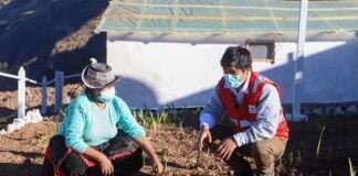 Día del Campesino Tambos