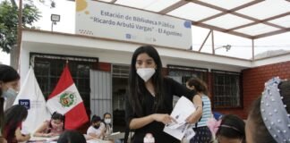 creación de bibliotecas en perú