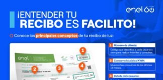 cómo leer recibo de luz enel