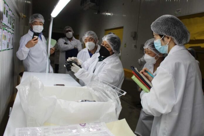 Delegación japonesa visitó a productores de Uva.