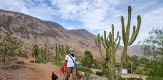 parque forestal La Molina