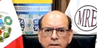 Canciller pide que OEA evalue situación política en Perú