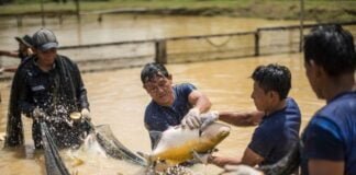 sectores de pesca y MYPE