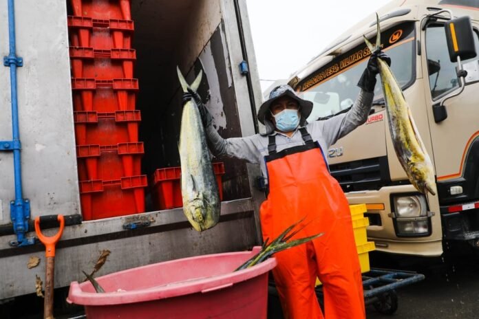esembarque pesquero en Perú