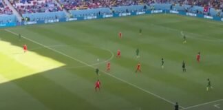 Suiza vs Camerún goles