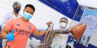 Produce ofertará a precio de costo nueve toneladas de pescado en varios distritos de Lima