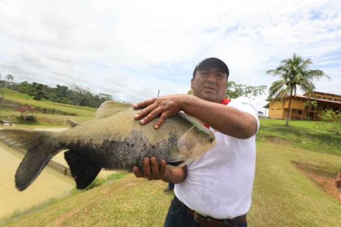 Tacna: realizará webinar internacional sobre acuicultura y el cambio climático Tacna: realizará webinar internacional sobre acuicultura y el cambio climático