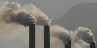 emisión de gases de efecto invernadero  