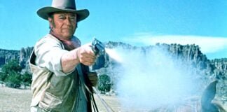 Un sheriff en vez de Castillo