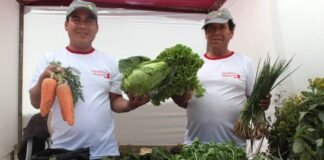 Emprendimiento rurales Haku Wiñay en Feria del Ande Liberteño