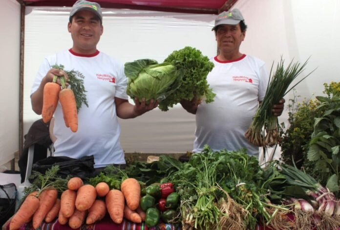 Emprendimiento rurales Haku Wiñay en Feria del Ande Liberteño Emprendimiento rurales Haku Wiñay en Feria del Ande Liberteño