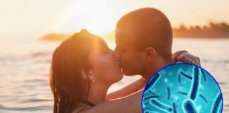 bacterias en un beso