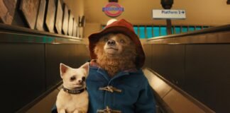 Paddington 3