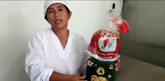 Panetones de pasta de cacao