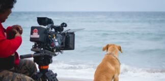 Mi Vaguito en el cine