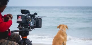 Mi Vaguito en el cine