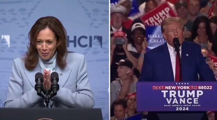 Kamala Harris vs Donald Trump