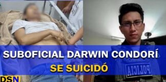 darwin condorí se suicida