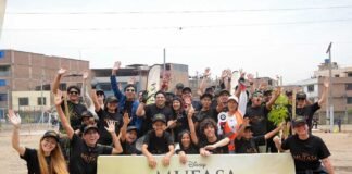 ARBORIZACIÓN en Perú