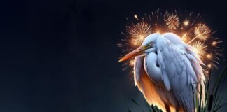 Humedal sin pirotecnia