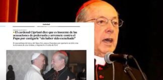 Acusaciones contra Juan Luis Cipriani