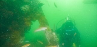 BUQUES SUMERGIDOS EN CHINCHA (3)