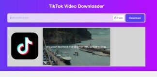 Descargar Tiktok sin marca de agua (1)