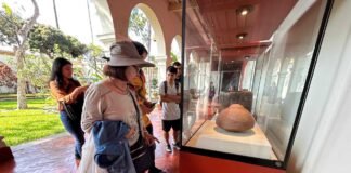 Museos Abiertos 2025