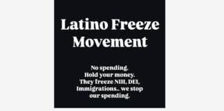 Movimiento Latino Freeze