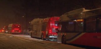 Tormenta de Nieve en Washington DC (1)