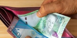 Sueldo mínimo peruano