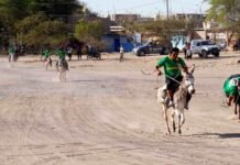 OCUCAJE CELEBRA EL XXXI FESTIVAL DE LA MENESTRA 4 (1)