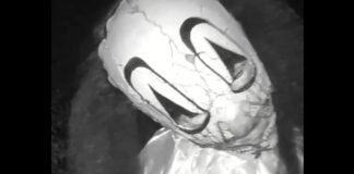 intento de ingreso con máscaras de Halloween en Virginia