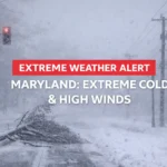 Carretera en Maryland cubierta de nieve durante una alerta de clima extremo, con un árbol caído por vientos fuertes y visibilidad reducida por la ventisca