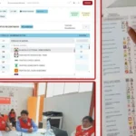 Elecciones complementarias 2026