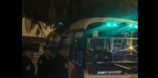 Balean cúster en el Callao