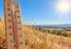 Clima hoy