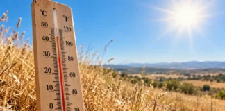 Clima hoy