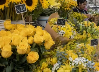 Flores amarillas este 21 de septiembre: ¿cuánto cuestan los ramos en Lima? Flores amarillas en Lima