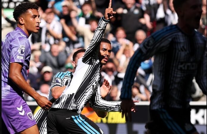 Newcastle hoy Newcastle hoy